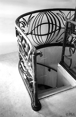 d007 photo