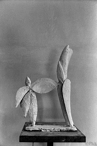 f007 photo