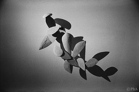 f008 photo