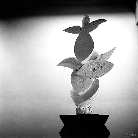 f016 photo