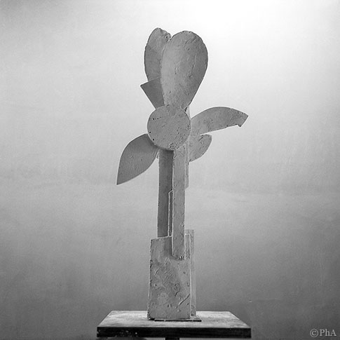 f035 photo