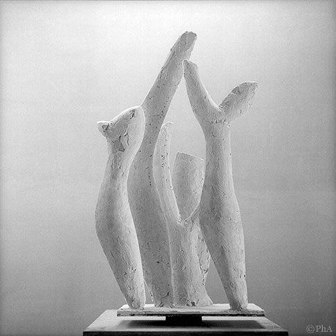 f046 photo